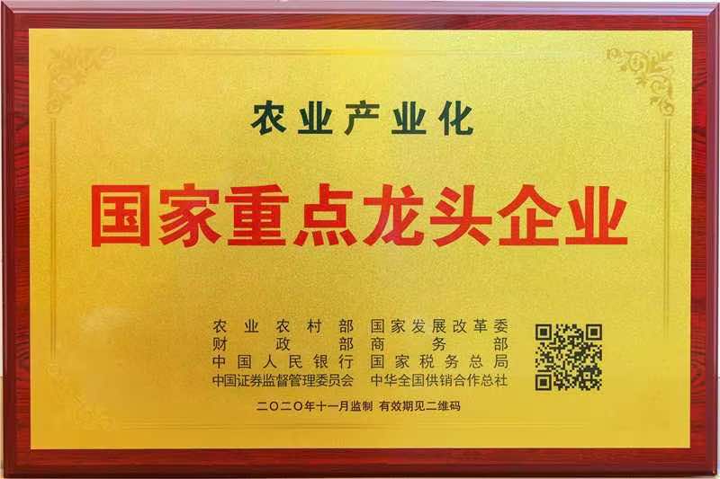 国家重点龙头企业