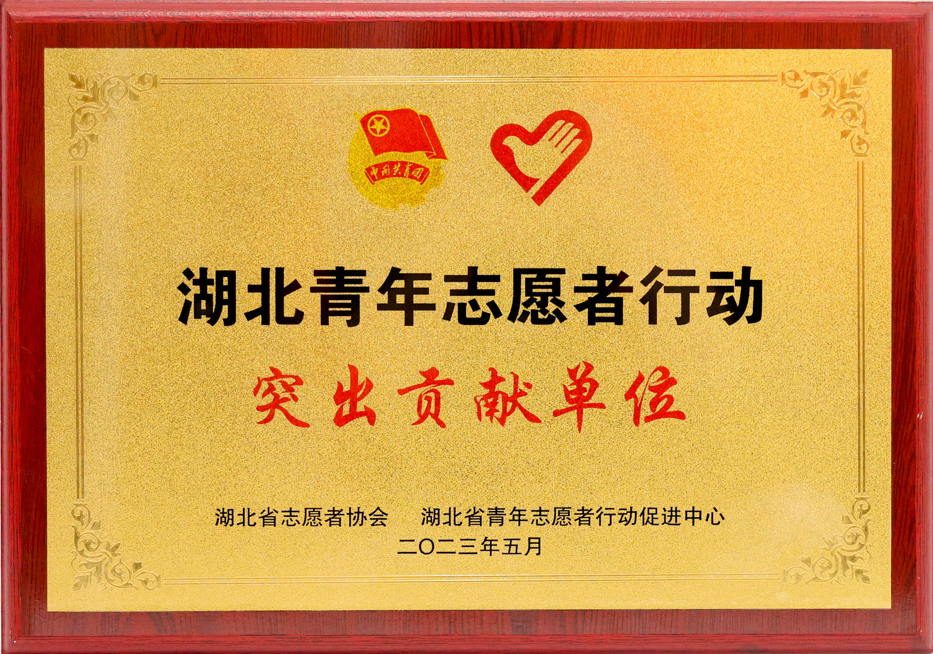 湖北青年志愿者行动突出贡献单位